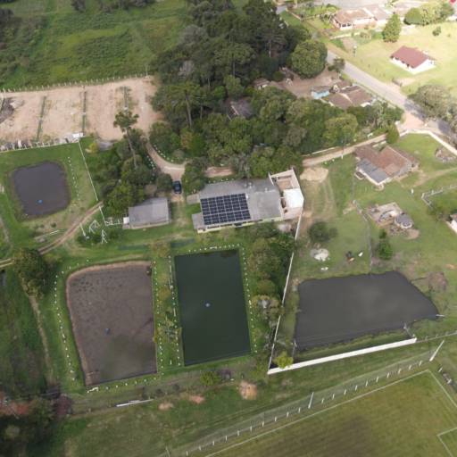 Comprar o produto de Empresa de Energia Solar em Energia Solar pela empresa Simprosol em Curitiba, PR por Solutudo