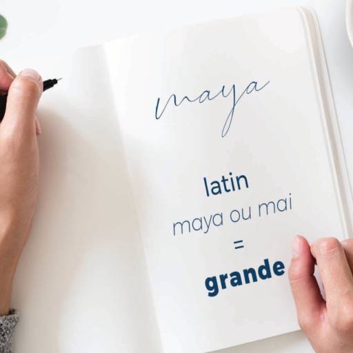 Agência de mídias digitais para empresas por Maya Digital - Mar Center Shopping 