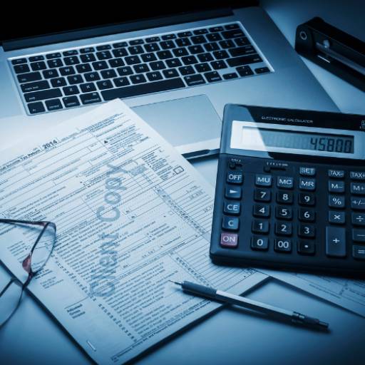 Escritório de Contabilidade em Bragança Pará