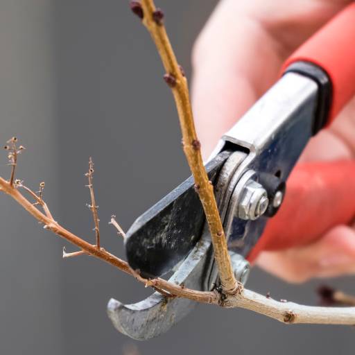 Serviços de trituração