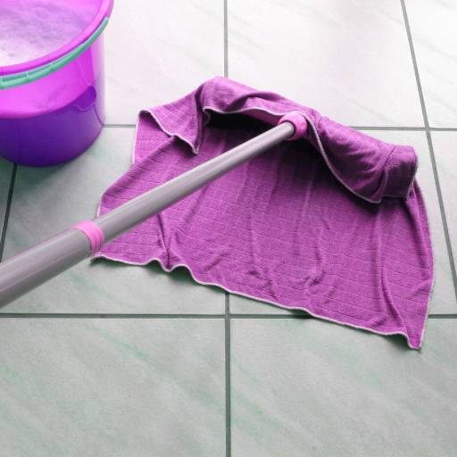 Rodo de 30cm por Ariana da Vassoura e Rodo