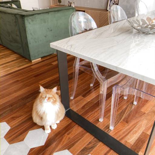 Assoalho por Green Pisos