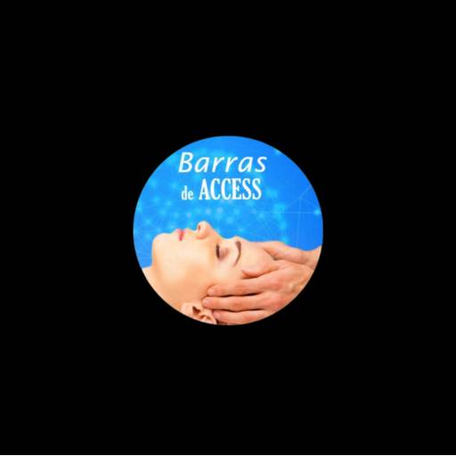 Barras de access por Flávio Saltori - Auriculoterapia e Barras de Access