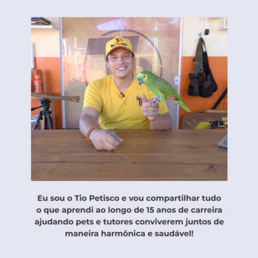 Neste curso vou mostrar como amansar seu papagaio e tudo o que você precisa para ter um manejo correto do seu psitacídeo! por Tio Petisco - Adestrador de Animais em Bauru