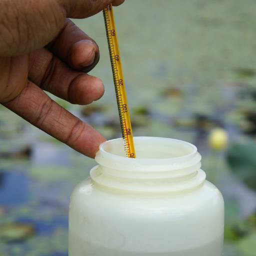Comprar o produto de Testes de qualidade da água em Perfuração - Poços Artesianos pela empresa Água Doce Poços Artesianos  em Avaré, SP por Solutudo