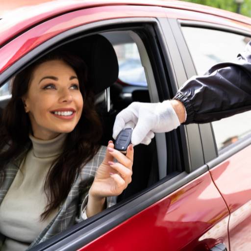 Empresa de manobrista