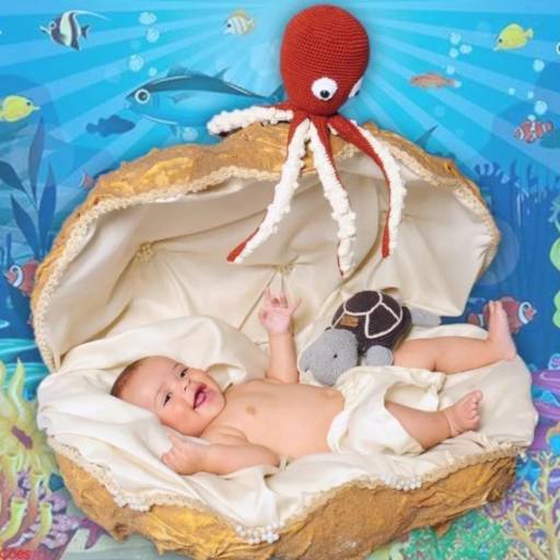 Comprar o produto de Acompanhamento Baby em Bebês pela empresa Aribely Produções Fotográficas em Mineiros, GO por Solutudo