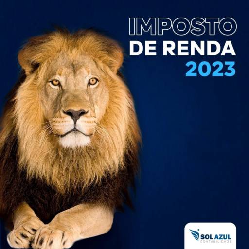 Declaração de Imposto de Renda por Sol Azul Contabilidade 