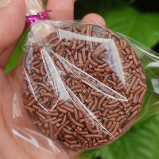 Bombom de Palito de Chocolate e com recheio em Bauru por A Brigadeiríssima