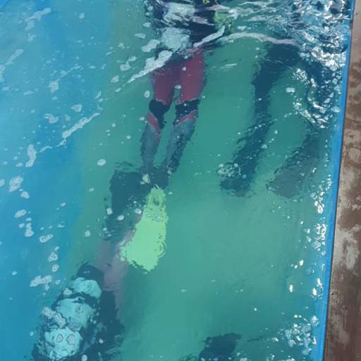 Comprar o produto de Objetos submersos em Limpeza de Equipamentos de Mergulho pela empresa Cristiano Mergulhador - Mergulhador em Cascavel, PR por Solutudo