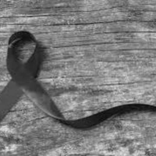 Processo de Luto por Psicóloga Aline Zeller Pereira de Souza