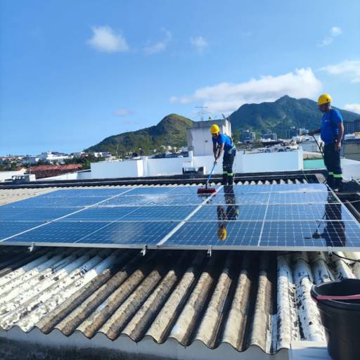 Comprar o produto de Limpeza de Placa Solar em Energia Solar pela empresa Cactos - Soluções em Energia em Rio de Janeiro, RJ por Solutudo