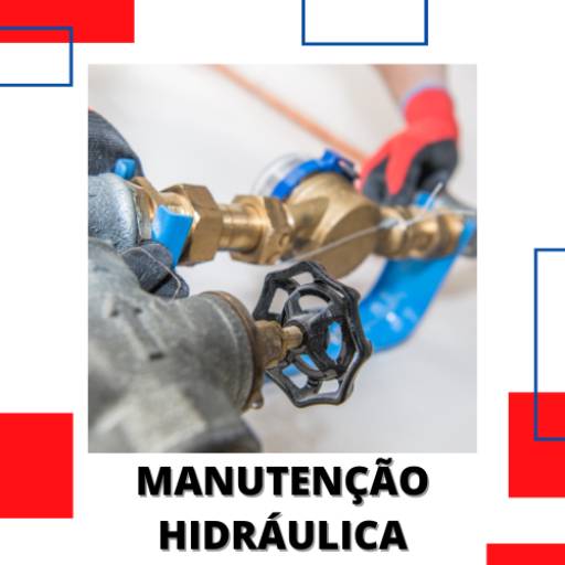 Comprar o produto de Manutenção Hidráulica em Hidráulica pela empresa Desentupidora Vapt Vupt em Itapetininga, SP por Solutudo