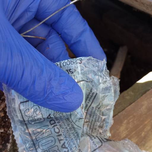 Tratamento contra rato em Leblon por Marc's Controle de Pragas - Dedetização