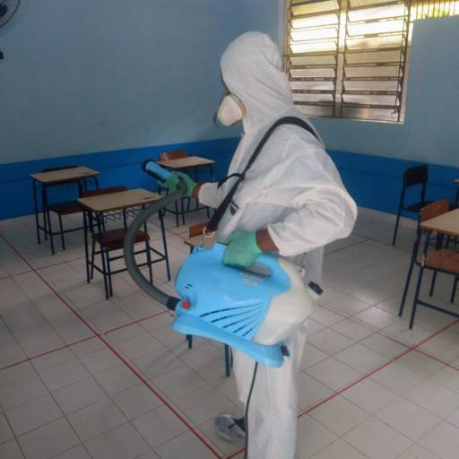 Tratamento contra mosquitos em Leblon por Marc's Controle de Pragas - Dedetização