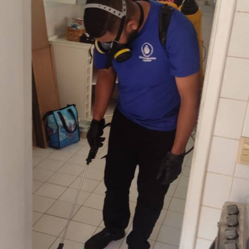 Tratamento contra pulgas em Leblon por Marc's Controle de Pragas - Dedetização