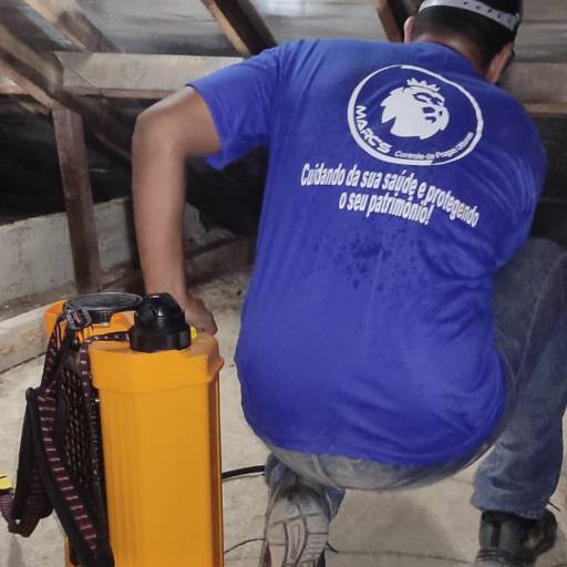 Tratamento contra aranha em Copacabana por Marc's Controle de Pragas - Dedetização