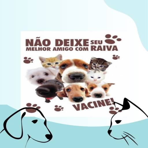 Vacinação de cães e gatos  por Pachecão Veterinário