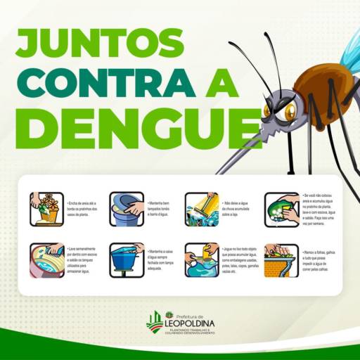 A luta contra essas doenças deve ser constante