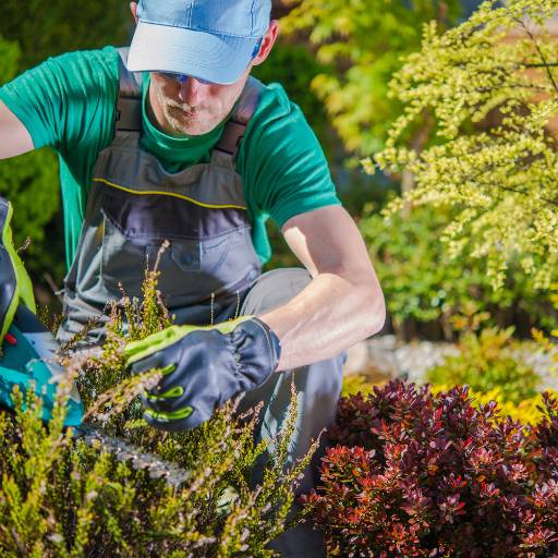 Jardinagem em Cesário Lange