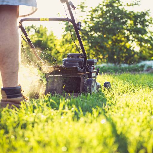 Roçagem em Cesário Lange