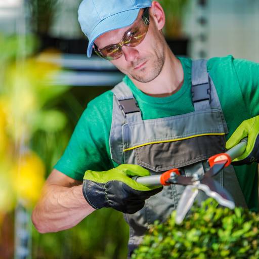 Jardineiro em Cesário Lange 