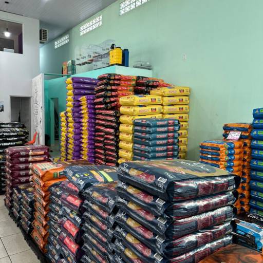 Ração para Cães  por Rede Pop Pet Center 