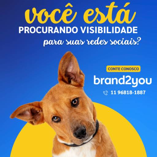 Gestão de mídias sociais em São Paulo, SP por Brand2you Design e Branding