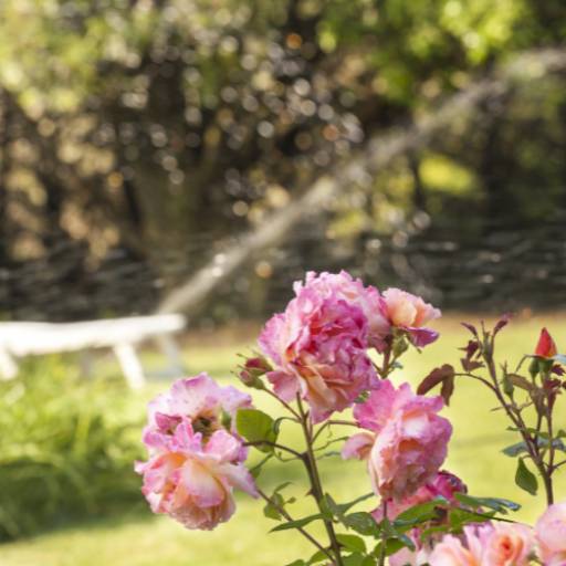 Irrigação - Eficiência Hídrica para Suas Culturas - Jarinu/SP