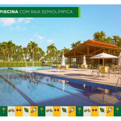 Viva mais Barra por Rei dos Lotes 