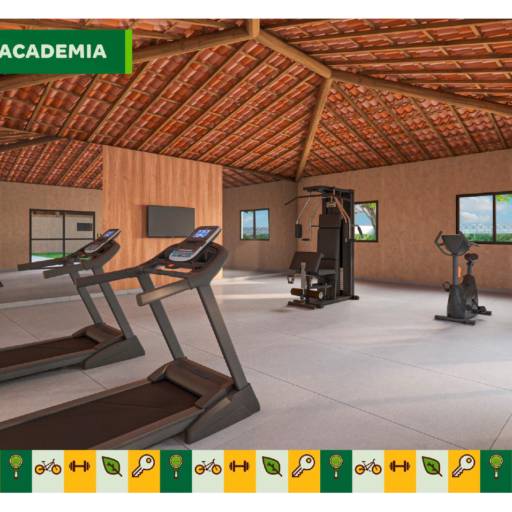 Viva mais Barra por Rei dos Lotes 