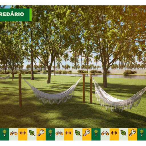 Viva mais Barra por Rei dos Lotes 