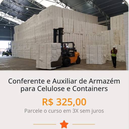 Conferente e Auxiliar de Armazém para Celulose e Containers em Santos, SP por CECONPORT