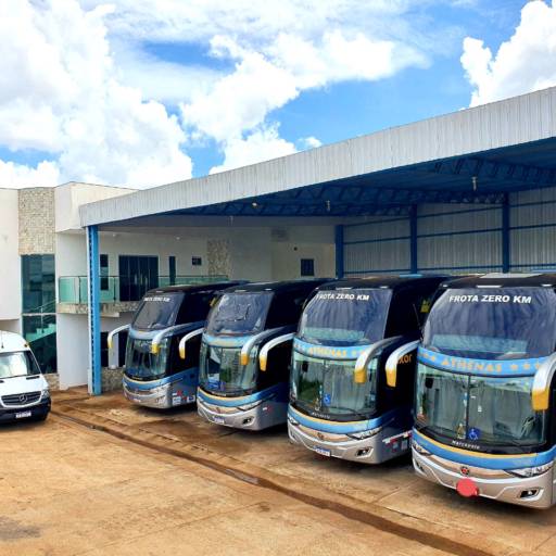 Ônibus para Turismo em Rio Verde, GO - Conforto e Segurança Garantidos