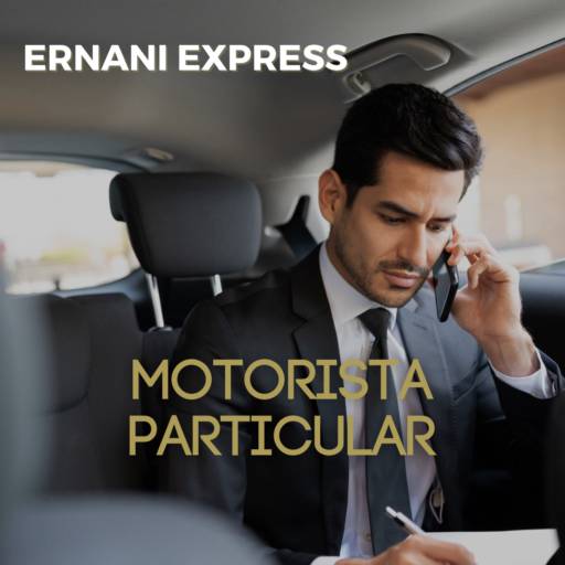 Motorista particular 
