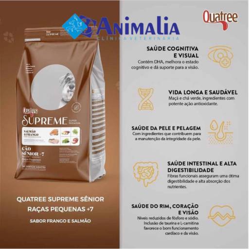 Sabia que cãezinhos a partir de 7 anos de idade precisam de cuidados especiais?
