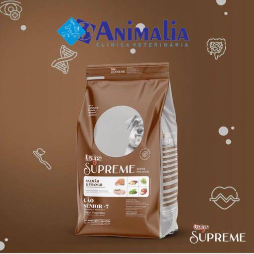 Sabia que cãezinhos a partir de 7 anos de idade precisam de cuidados especiais? por Veterinaria Animália