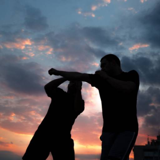 Formação de Instrutor de Krav Maga