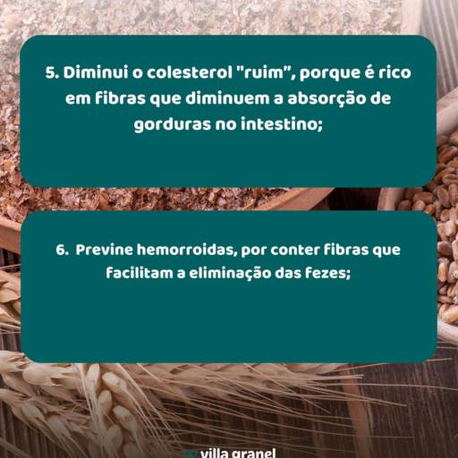 Farelo de Trigo para que serve? por Villa  Granel Armazém  