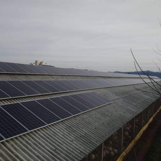 Energia solar para Agronegócio por BAngst Energia Solar