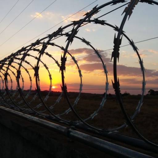 Concertina por Sinergia Segurança e Energia Solar