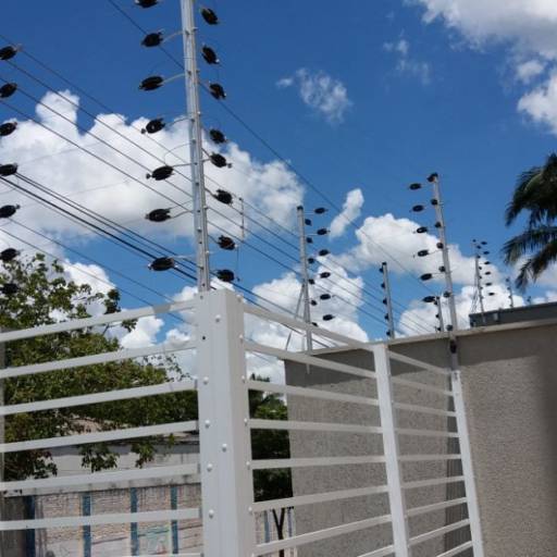 Comprar o produto de Cerca Elétrica em Câmeras de Segurança pela empresa Sinergia Segurança e Energia Solar em Tupã, SP por Solutudo