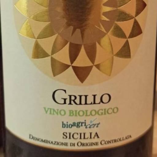 Comprar o produto de VINHO GAZZEROSSE - GRILLO (BRANCO) em Vinhos pela empresa Nonna Marietta - Massas Artesanais em Jundiaí, SP por Solutudo