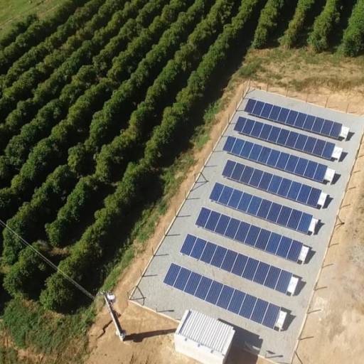 Especialista em Energia Solar - Soluções Personalizadas e Eficientes em Tanabi