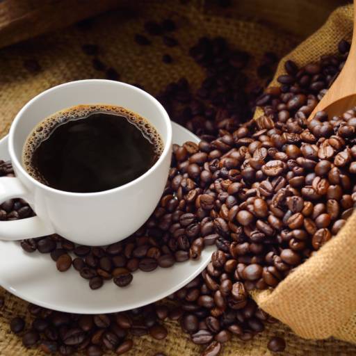 Consultoria de Café