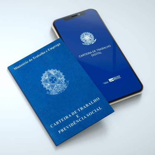 Consulta FGTS e INSS