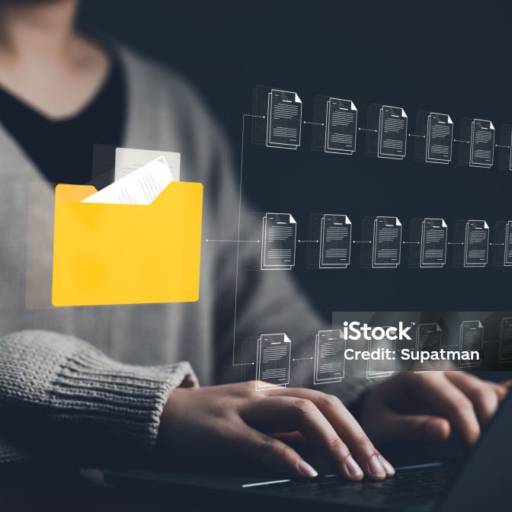 Organização e Digitalização de Documentos - Eficiência e Acessibilidade em Londrina/PR