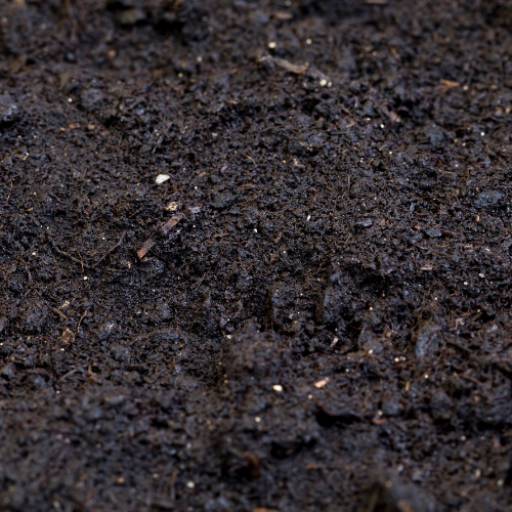 Terra preta para jardins e hortas