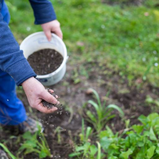 Adubação para jardins e hortas