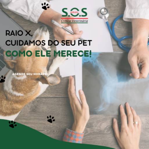 Realizamos RAIO X para o seu Pet por S.O.S Animal Clínica Veterinária